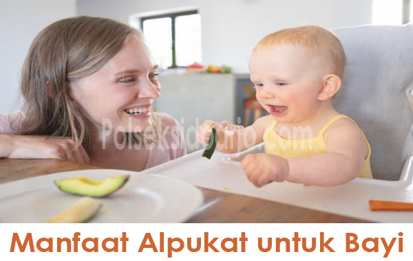 Manfaat Alpukat untuk Bayi