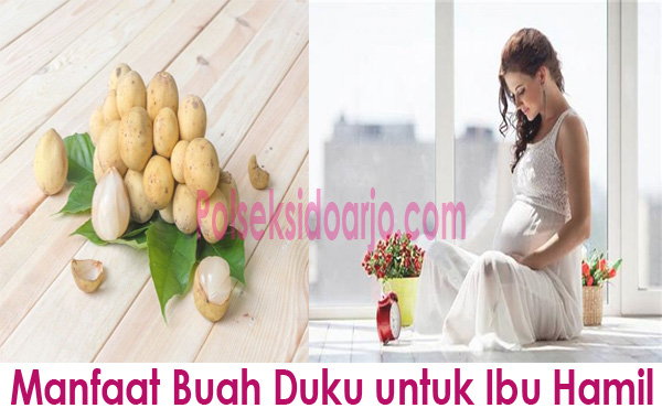 Manfaat Buah Duku untuk Ibu Hamil