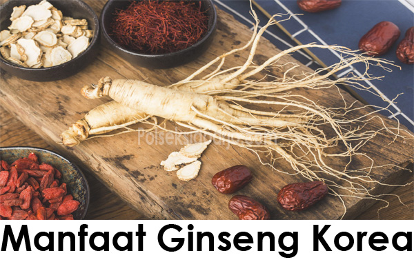 Manfaat Ginseng Korea