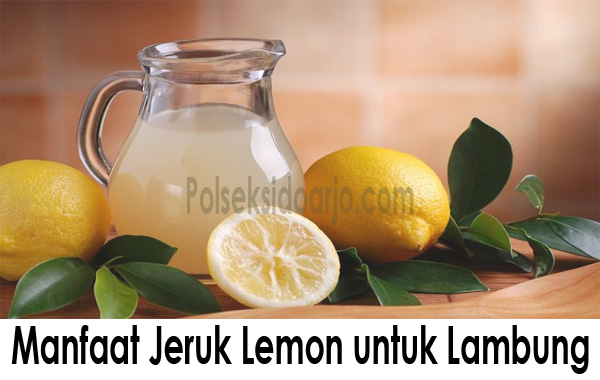 Manfaat Jeruk Lemon untuk Lambung: Fakta untuk Obati Maag?