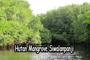 Hutan Mangrove Siwalanpanji