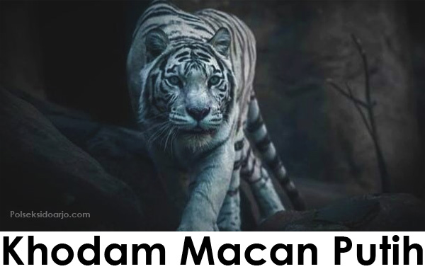 Khodam Macan Putih